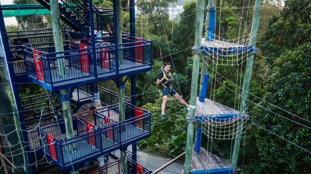 sentosa zipline price
