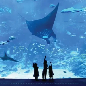 cheap sea aquarium tickets