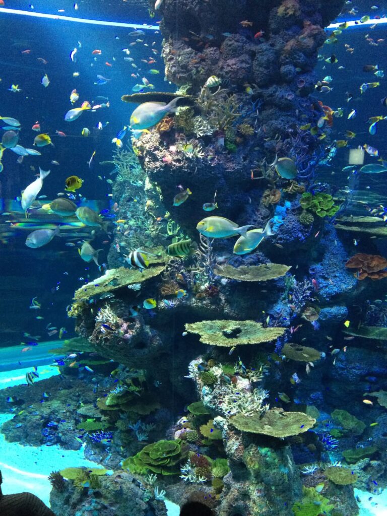 juwel aquarium singapore