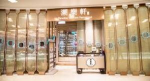 paradise teochew at scotts square