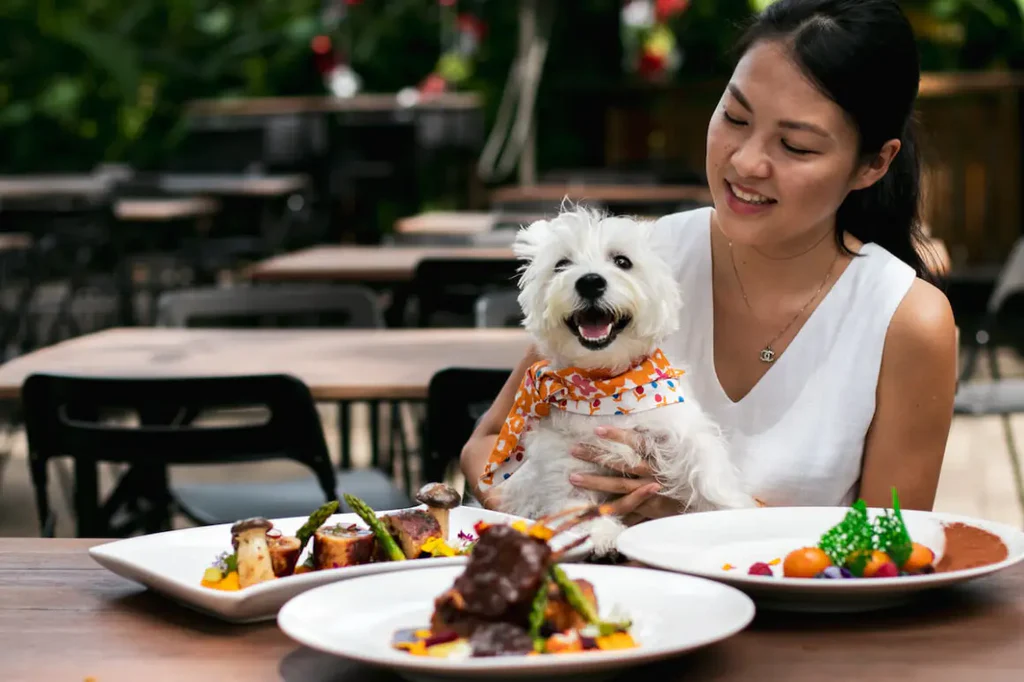 Best Hidden Dog Friendly Places Singapore (Underrated Gems)
