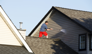 The Homeowner’s Guide to Extending the Life of Exterior Building Materials