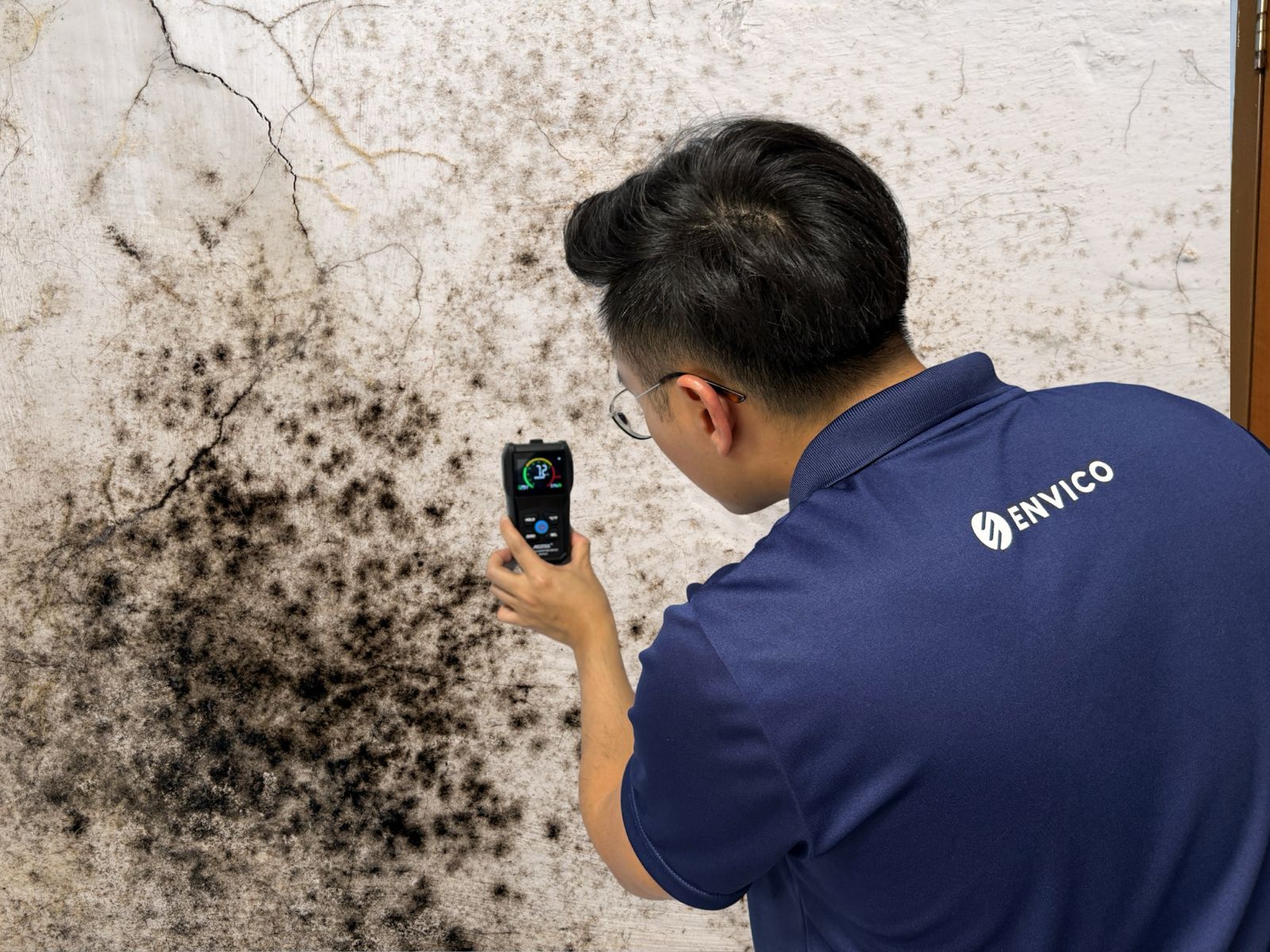 Mould Remediation